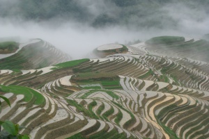 Longji rice terraces in Spring